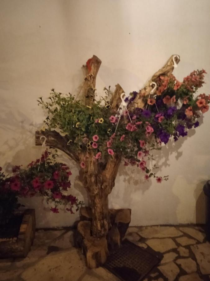 Alepou Villatereza מראה חיצוני תמונה